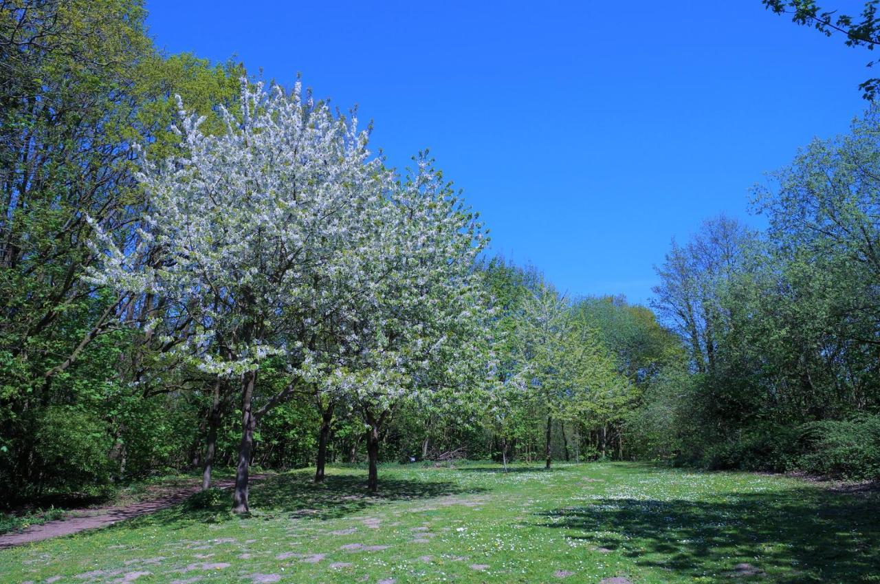 Panoramic App A09-5 Lägenhet Sierksdorf Exteriör bild